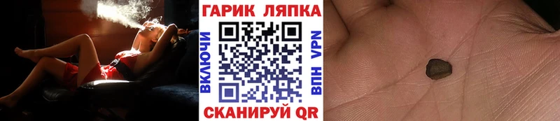 ГАШ Premium Светогорск