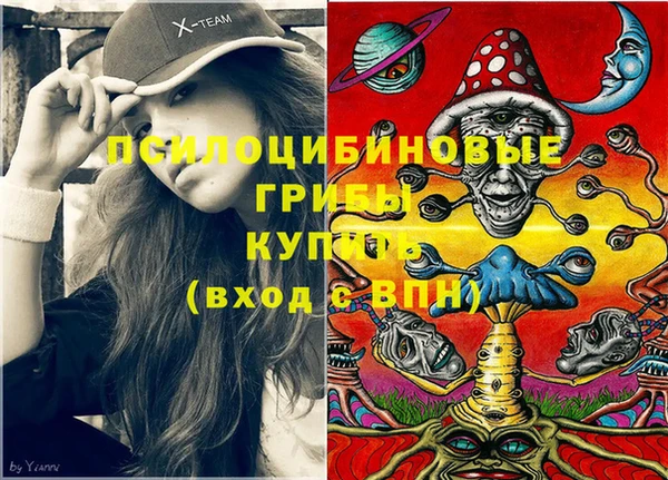 меф Белокуриха